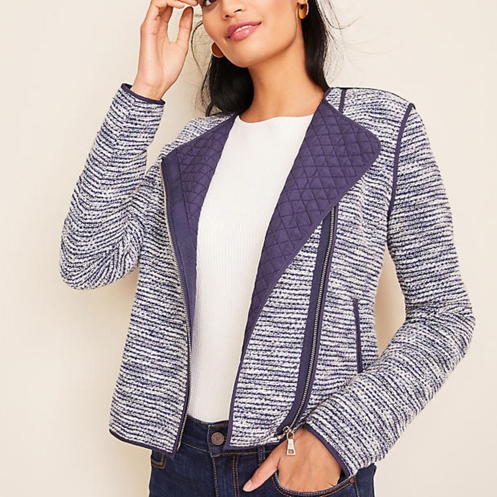 NWT Ann Taylor Quilted Tweed Moto Jacket
